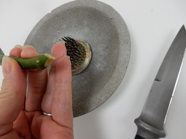 Cut the stem in a point Cut the stem in a point
