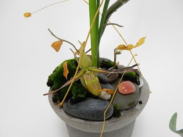 Designing in a shallow container Designing in a shallow container