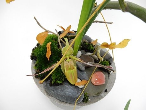Designing in a shallow container with a kenzan Designing in a shallow container with a kenzan