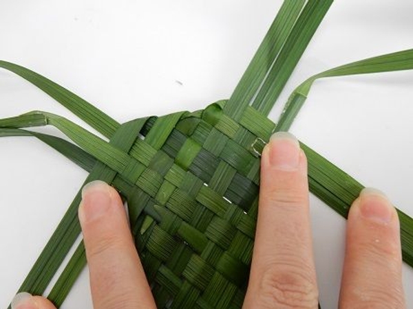 Do the same with the next set of leaves Do the same with the next set of leaves