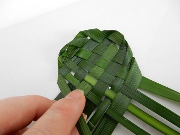 Fold the leaf on the left over Fold the leaf on the left over