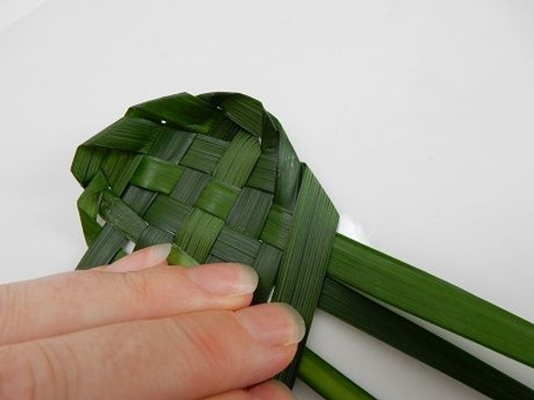 Fold the leaf on the right over Fold the leaf on the right over