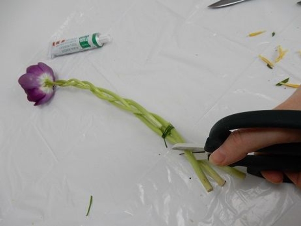 Give each stem a fresh cut at an angle Give each stem a fresh cut at an angle