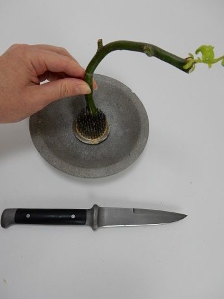 It is now fairly easy to angle and position the stem as you require It is now fairly easy to angle and position the stem as you require