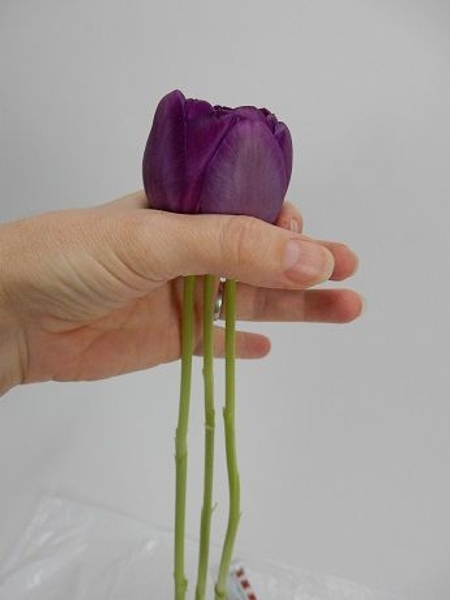 Just let the stems dangle down to set the glue perfectly Just let the stems dangle down to set the glue perfectly