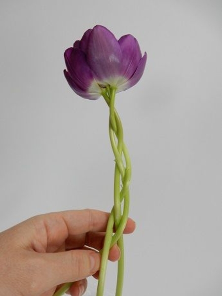 Move down the stem and braid as you go along Move down the stem and braid as you go along