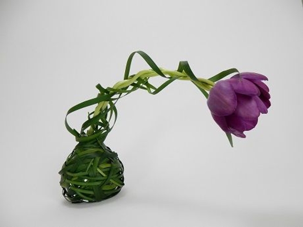 Three purple tulips braided together Three purple tulips braided together