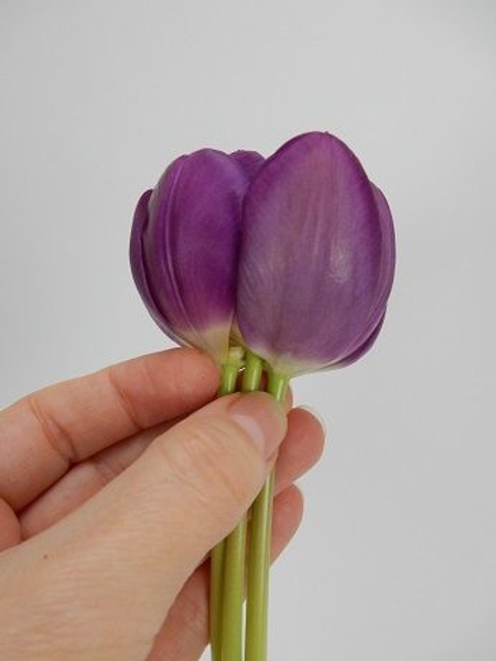 Three Tulip heads connected Three Tulip heads connected