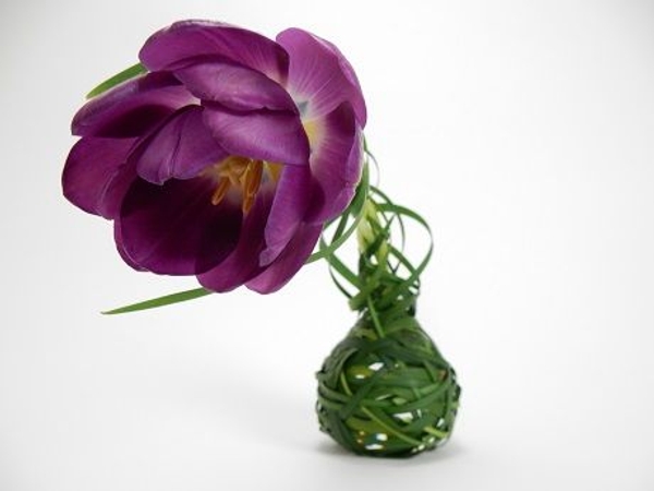 Three tulips plaited together Three tulips plaited together