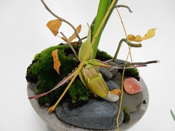 Using a Kenzan in flower arranging Using a Kenzan in flower arranging