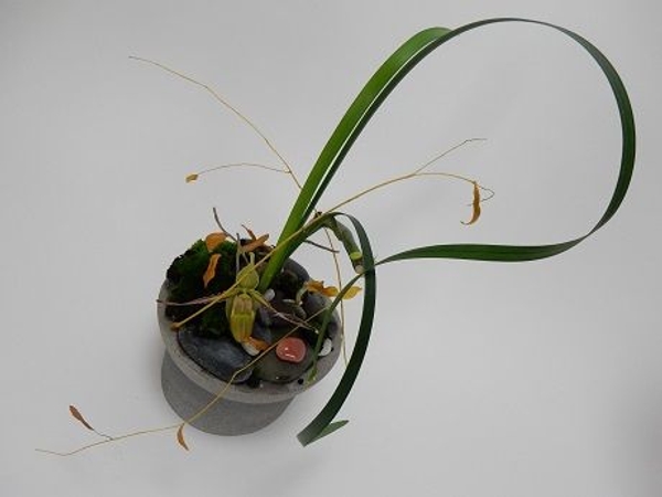 Using a traditional Ikebana Kenzan to create a shallow container design Using a traditional Ikebana Kenzan to create a shallow container design