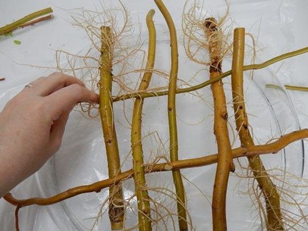 Weave in the next stem Weave in the next stem