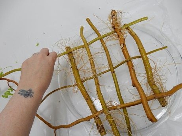 Weave in the third stem Weave in the third stem