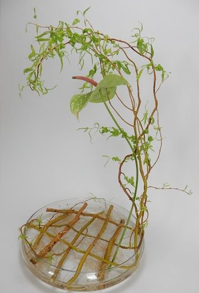 Weaving a willow armature Weaving a willow armature