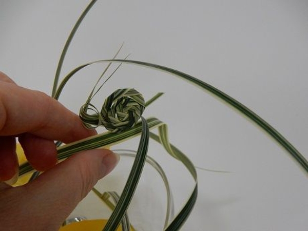 Add the spiral snail to the design. Add the spiral snail to the design.