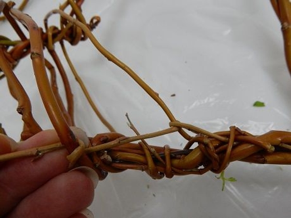 And then around the second stem And then around the second stem