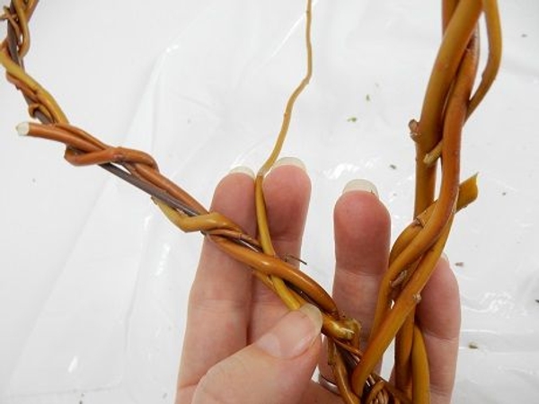 And then wrap the stem around the other stems to closely follow the shape