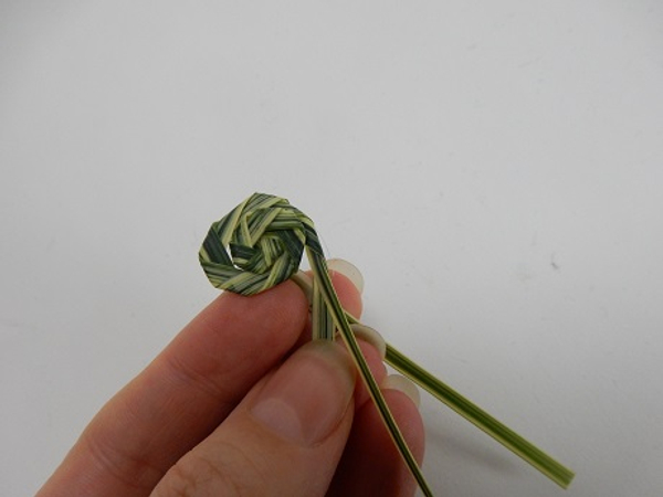Build up the snail shell by folding spiral after spiral