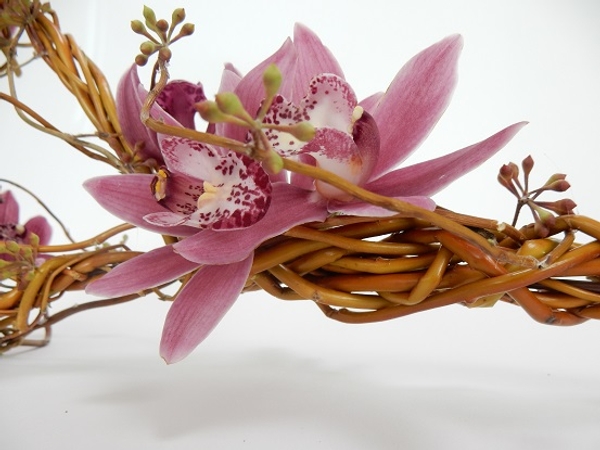 Cymbidium orchids, eucalyptus capsules and willow Cymbidium orchids, eucalyptus capsules and willow