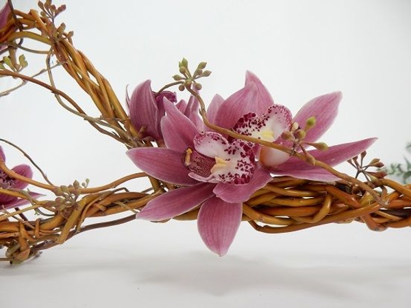 Cymbidium orchids on a willow wand Cymbidium orchids on a willow wand