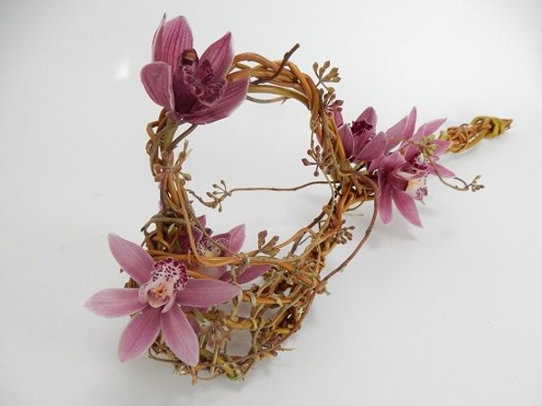 Cymbidium willow wand. Cymbidium willow wand.
