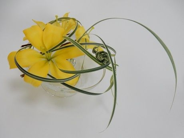 Fold grass in a spiral to make a snail Fold grass in a spiral to make a snail