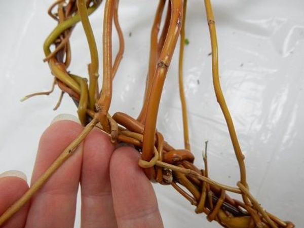 Followed by the third stem Followed by the third stem