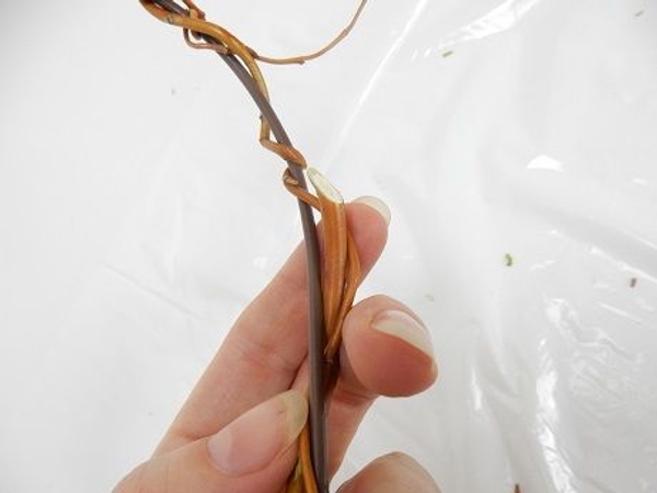 Hook each new stem into the weave Hook each new stem into the weave