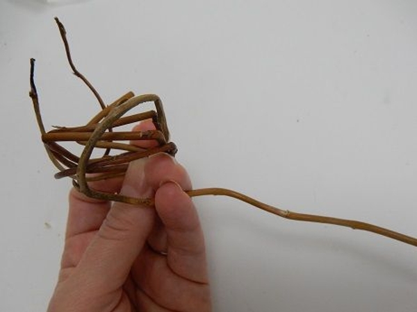 Keep twirling the stem and adding a few more stems to create a willow tube Keep twirling the stem and adding a few more stems to create a willow tube