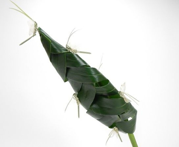 Leaf cocoon Leaf cocoon