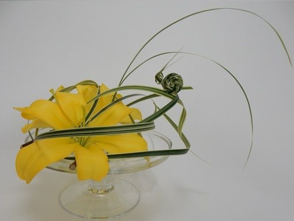 Spiral roll grass to fold a snail Spiral roll grass to fold a snail