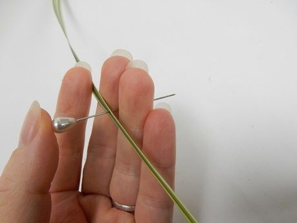 Split a long blade of grass with a pin Split a long blade of grass with a pin