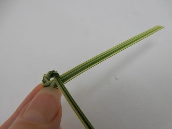 The folded grass will start to spiral in The folded grass will start to spiral in