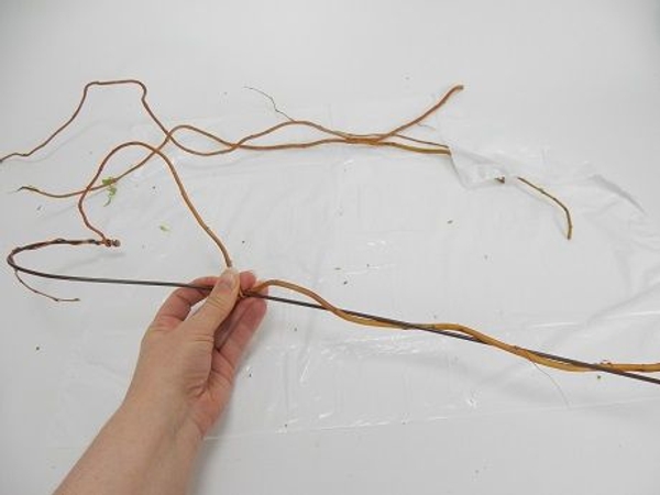 Weave the stem to twirl around the wire Weave the stem to twirl around the wire