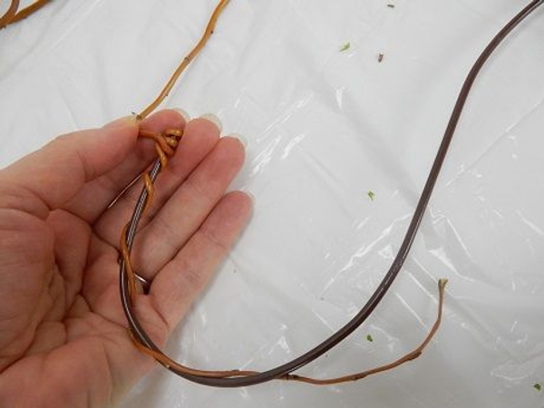 Wrap the thin tip of the stem loosely around the wire to follow the shape Wrap the thin tip of the stem loosely around the wire to follow the shape