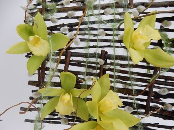 Cymbidium orchids on a willow blind Cymbidium orchids on a willow blind