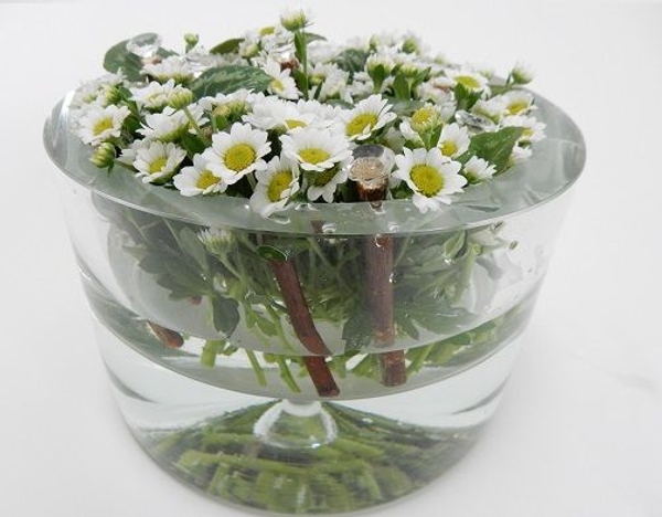 Fill the bowl with flowers Fill the bowl with flowers