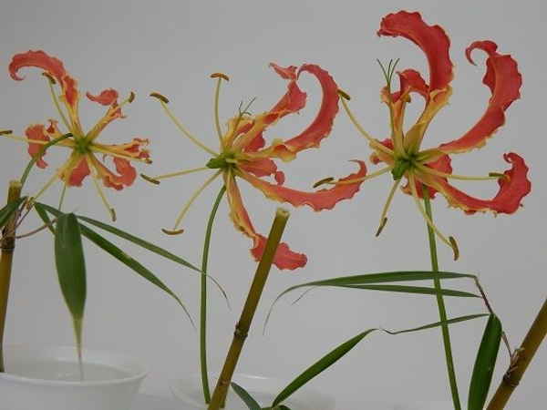 Hana-Kubari Ikebana floral art technique Hana-Kubari Ikebana floral art technique