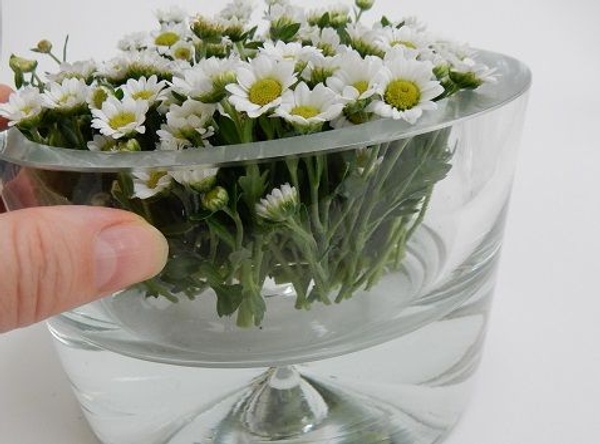 Look at the stems in the bowl to make sure none of the flowers fell over Look at the stems in the bowl to make sure none of the flowers fell over