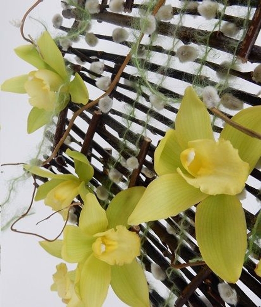 Pussy willow and Boat orchid blind Pussy willow and Boat orchid blind