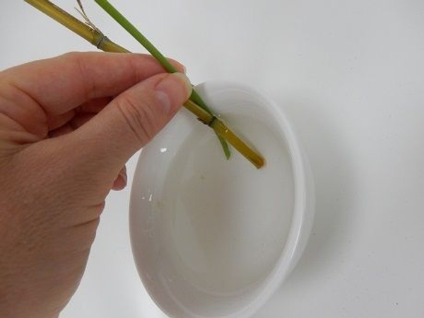 Slip in the stem to catch between the bamboo and the container Slip in the stem to catch between the bamboo and the container