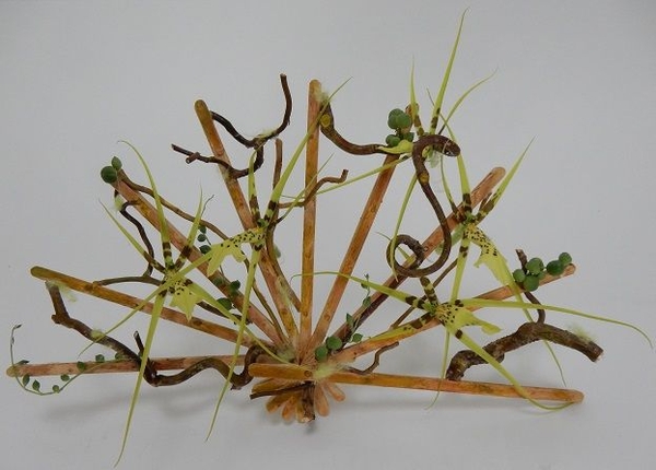 Stir-Stick Fan Floral art design