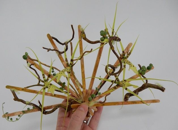 Stir-Stick Fan With succulents and Brassia orchids Stir-Stick Fan With succulents and Brassia orchids
