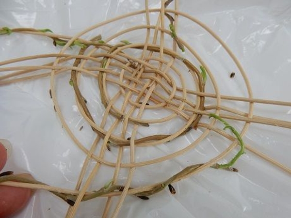 Adding willow stems as you go along Adding willow stems as you go along