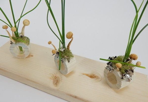 Chive flower heads with moss lichen and mushrooms