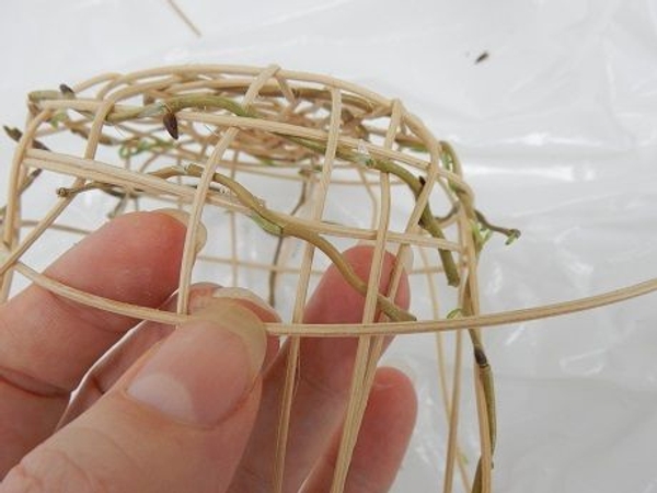 Continue the over and under weaving pattern up the sides of the nest Continue the over and under weaving pattern up the sides of the nest