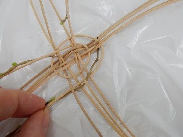 Continue to weave the stem spiralling out Continue to weave the stem spiralling out