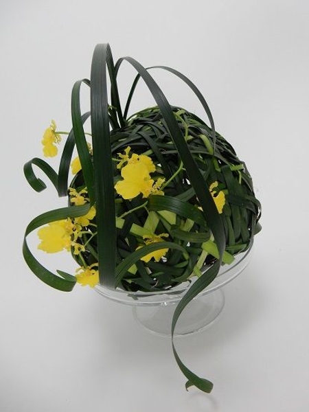Contrasting weaving and free curving grass Contrasting weaving and free curving grass