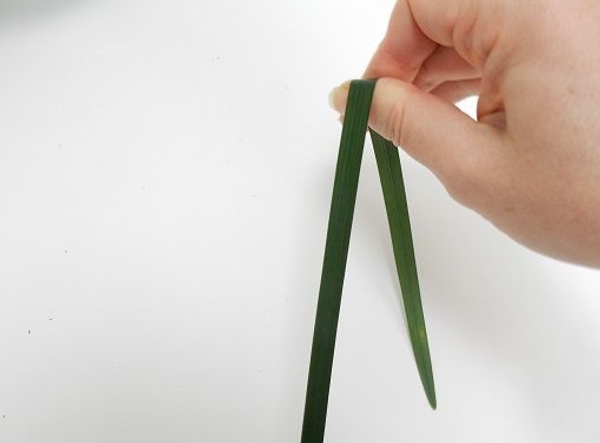Cushion the blade of grass with the pad of your thumb Cushion the blade of grass with the pad of your thumb