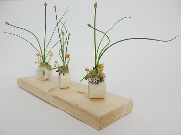 Display delicate flowering stems